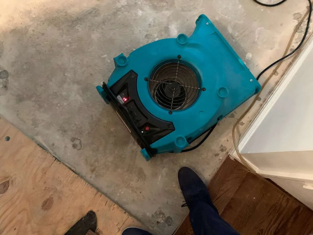 Air mover drying subfloor during Commercial Water Damage Restoration in Pleasant Valley